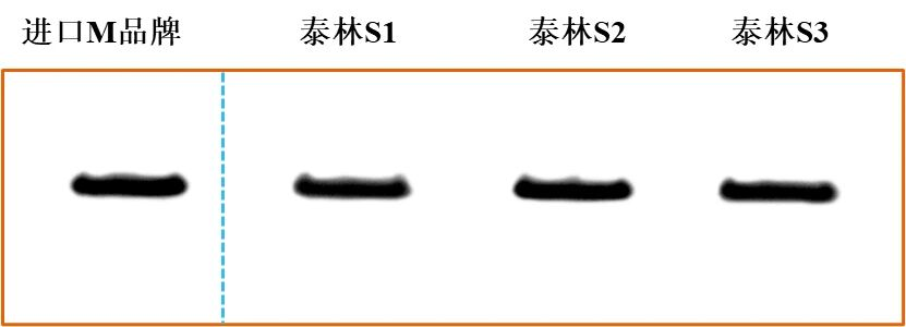 1772605271553302iK7C.png 图片6.png